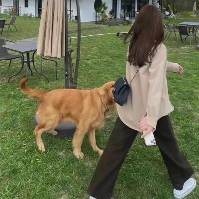 狄更斯的秘密情史