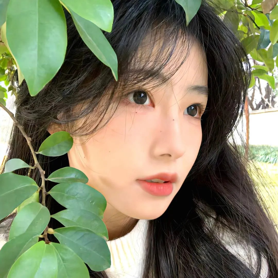 花开大富贵